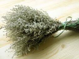 Wormwood powder helps fight parasites