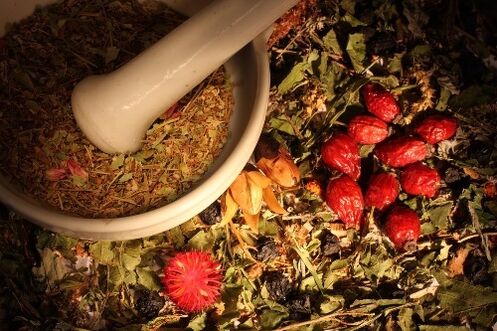 herbs to eliminate parasites from the body