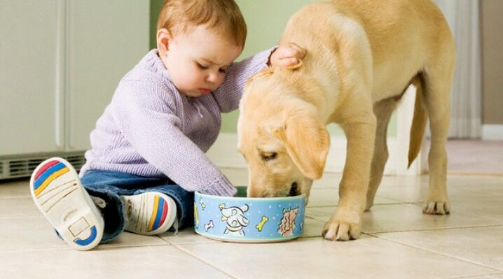 the boy eats from a dog bowl and is infected with worms