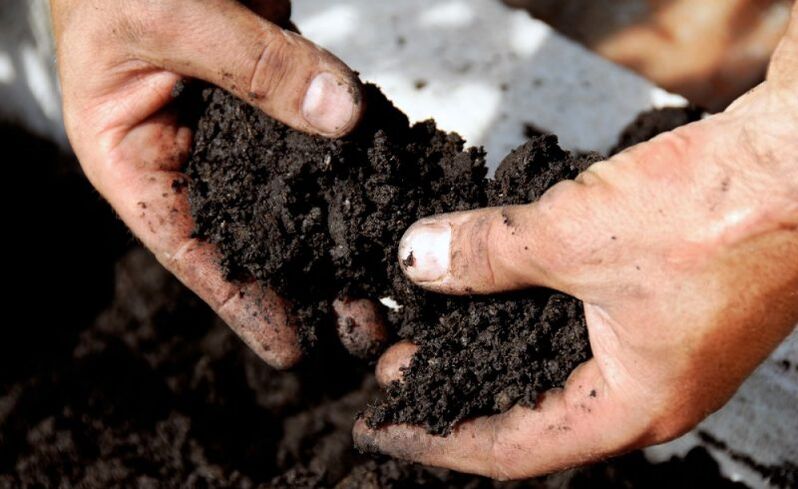 work with the soil as a route of infection by worms